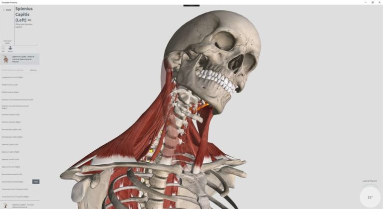 anatomy software for pc download